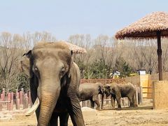 -沈阳森林动物园