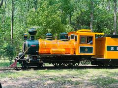 -合肥滨湖国家森林公园