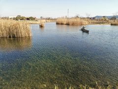 -良渚古城遗址公园