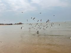 -老虎石海上公园