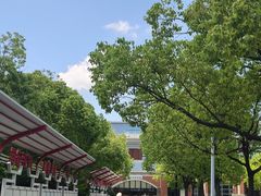 -华东政法大学(松江校区)