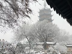 -红梅公园