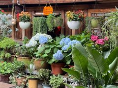 -龙姐私房菜(和顺古镇店)