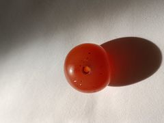 -苏州艺都古玩花鸟市场