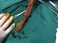 -骐奇宠物诊疗中心(南亭公路店)