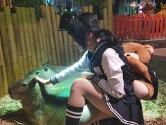 -萌宠奇缘