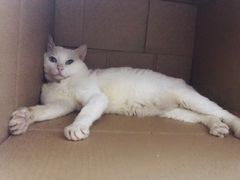 -拜鲁耶动物诊疗中心·宠家动物医院