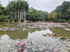 -中国科学院西双版纳热带植物园