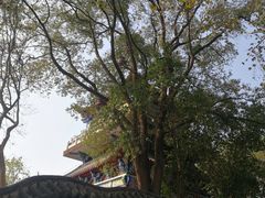 -东坡赤壁风景名胜区