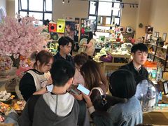 -70cat德文卷毛猫·缅因猫纯种猫舍