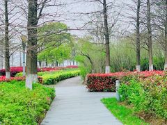 -苏州东太湖生态园
