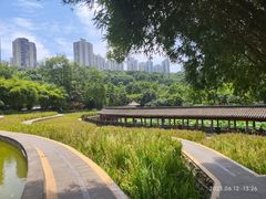 -龙头寺公园