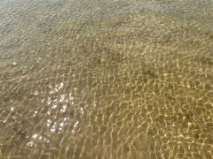 -碧海金沙