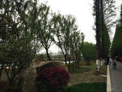 -昆山城市生态森林公园