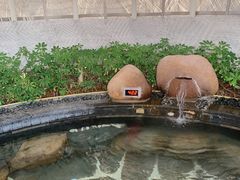 -凤翔首邑温泉度假村