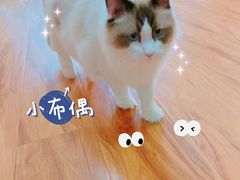 -猫爪屋猫咖(乐汇城店)