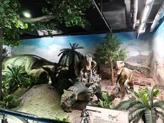 -国家自然博物馆