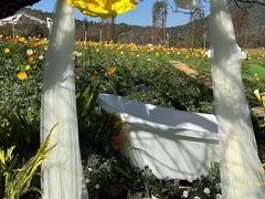 -名花谷生态庄园