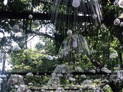 -荔湾湖公园