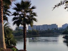 -枫香湖儿童公园