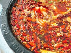 -渔小贰 稻田蛙·鱼火锅