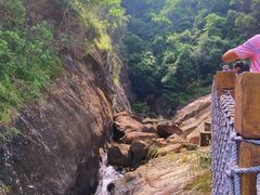 -广州白江湖森林公园