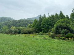 -贵阳市花溪国家城市湿地公园