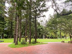 -荔枝公园(福田区)