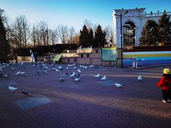 -朝阳公园游乐园