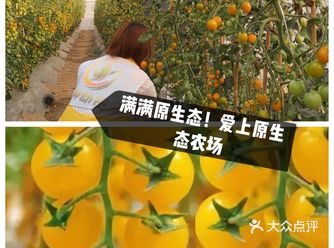 要做就做｜做一个热爱大自然的小宝贝！人人喜欢人人爱