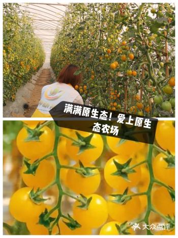 要做就做｜做一个热爱大自然的小宝贝！人人喜欢人人爱