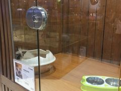 -龟与熊猫宠物公园(南坪店)