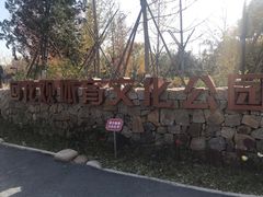 -回龙观体育文化公园