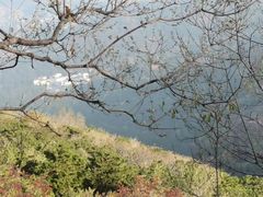 -香山公园