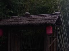 -新荣记(西溪湿地店)