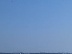 -观潮胜地公园