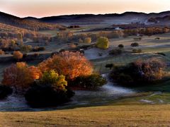 -塞罕坝国家级自然保护区