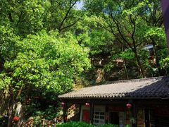 -巴倒烫陆派火锅山庄(南山总店)