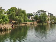 -大塘金香草谷