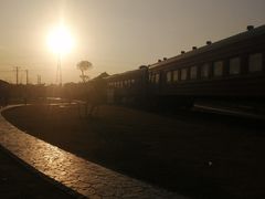 -菊园百果园