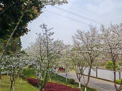 -重庆园博园