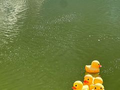 -邑家人·山水四合院