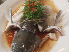 -顺悦酒家(嘉信城市广场店)