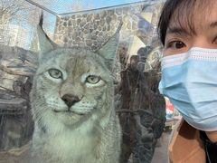 -青藏高原野生动物园