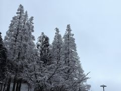 -庐山风景区花径公园