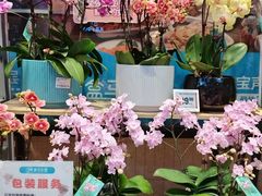 -盒马鲜生(王府广场店)