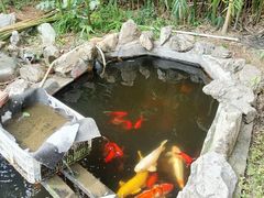 -韩邦朝天锅