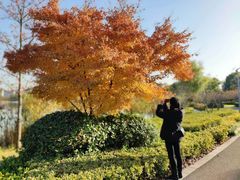 -昆山城市生态森林公园