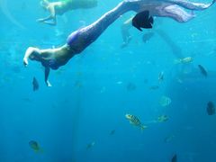 -瑞德姆美人鱼海底演艺主题餐厅(亚龙湾店)