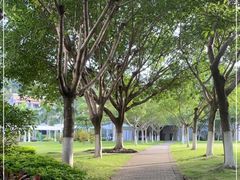 -厦门国家会计学院